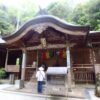 極彩色の幕が下がる青龍寺本堂と参拝者