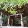 新緑の楓に覆われた岩屋寺の山門と奥に続く石段