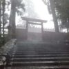 濃い霧と豪雨の中、石段の先に立つ鳥居
