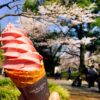 青空と桜を背景に持ち上げた桜色のソフトクリーム