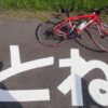 「とね」の路面標示と赤いロードバイク