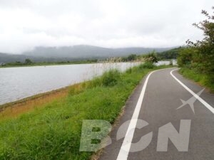 曇り空の下、湖畔沿いのサイクリングロード