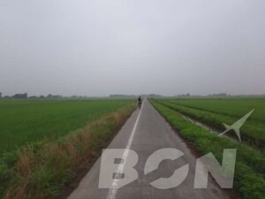 田んぼに囲まれた一本道を走るロードバイク