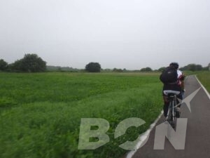 曇り空の下、田んぼ沿いの道を走るロードバイク