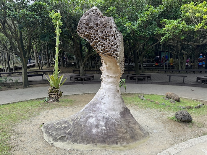 野柳地質公園 遊歩道