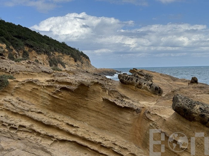 野柳地質公園 海岸