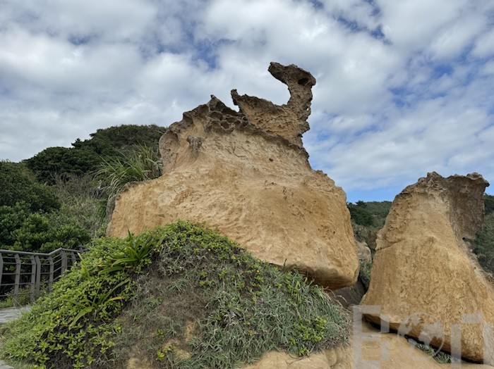 野柳地質公園 奇岩