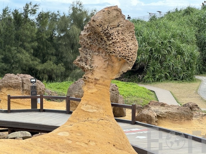 野柳地質公園 奇岩撮影