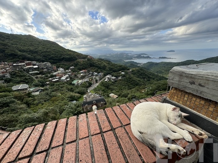 九份 広場の景観