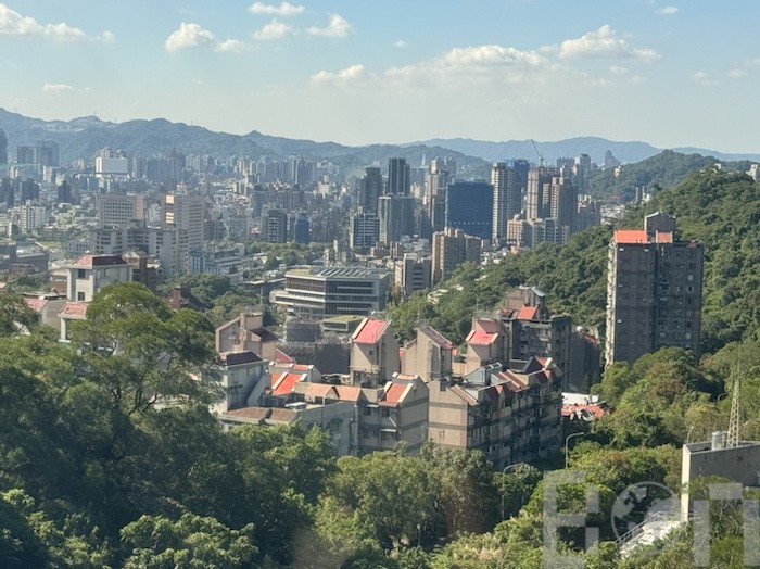 猫空エリアの茶畑風景