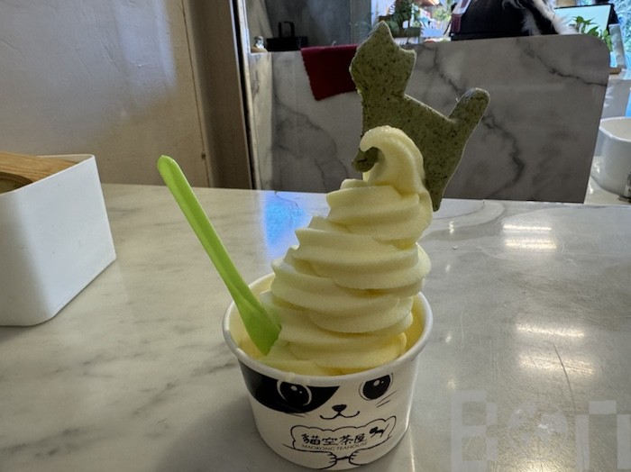 クリスタルキャビンから見下ろす景色