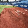 神宮球場のホームベース付近とバッターボックス周辺の人工芝