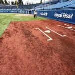 神宮球場のホームベース付近とバッターボックス周辺の人工芝